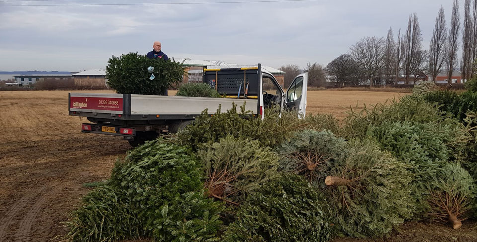 Christmas Tree Recycling Billington Structures