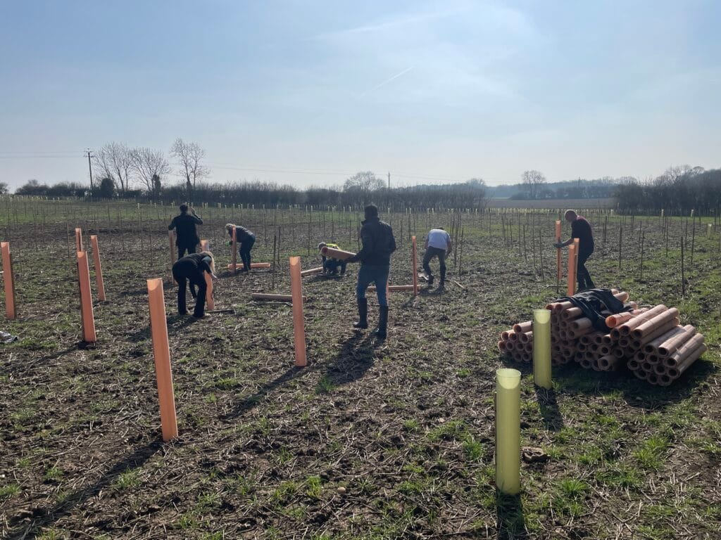 World Forestry Day - Billington Structures - carbon neutral business