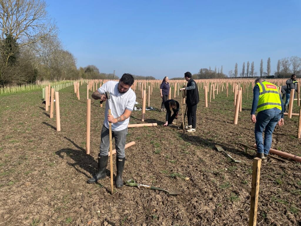 World Forestry Day - Billington Structures - carbon neutral business