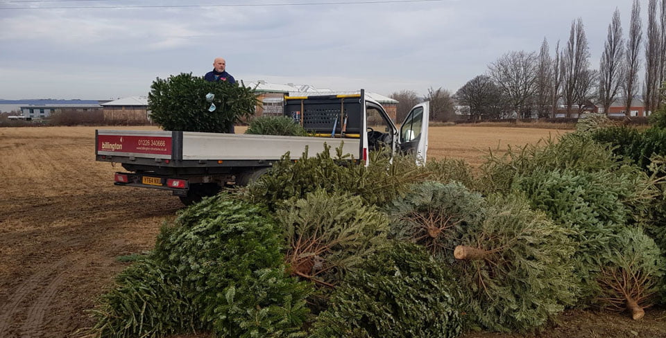 Christmas Recycling