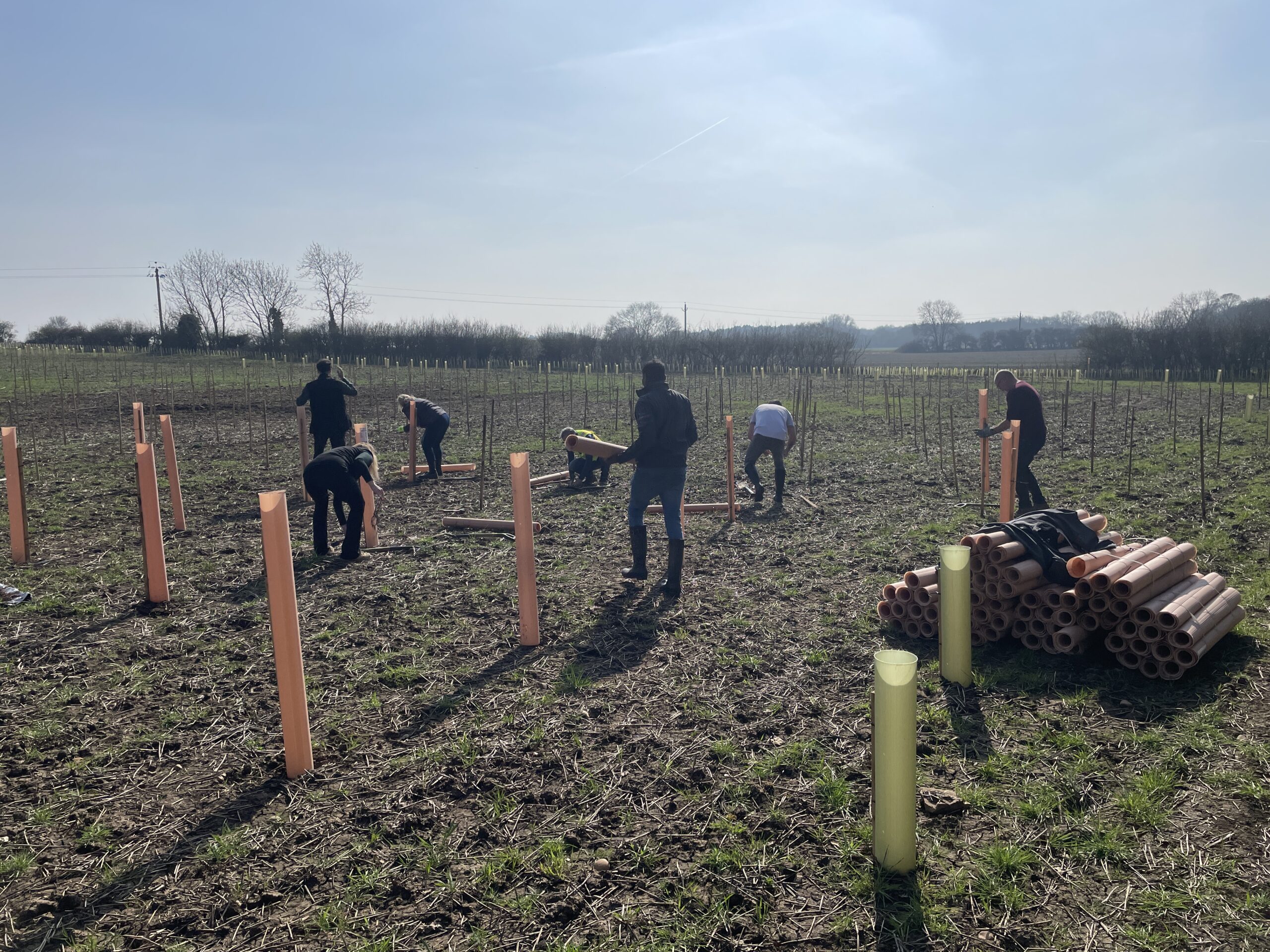 World Forestry Day - Billington Structures - carbon neutral business